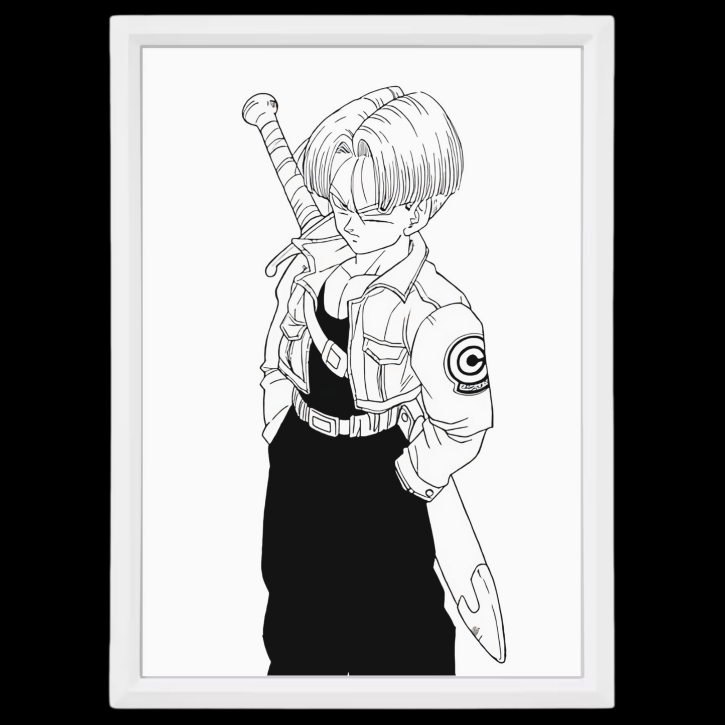 Trunks | Dragon Ball Z | Frame | 13x18