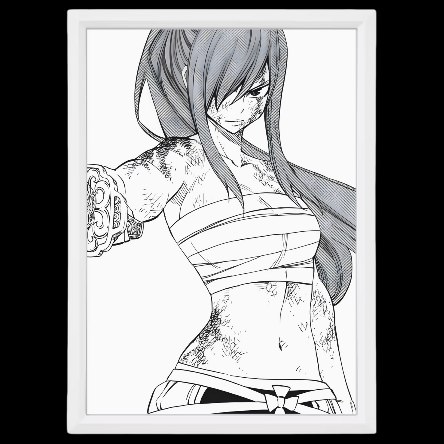 Erza Scarlett | Fairy Tail | Frame | 13x18