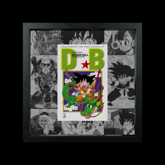 Dragon Ball Evergreen Edition Vol.1 | Floating Frame | 25x25