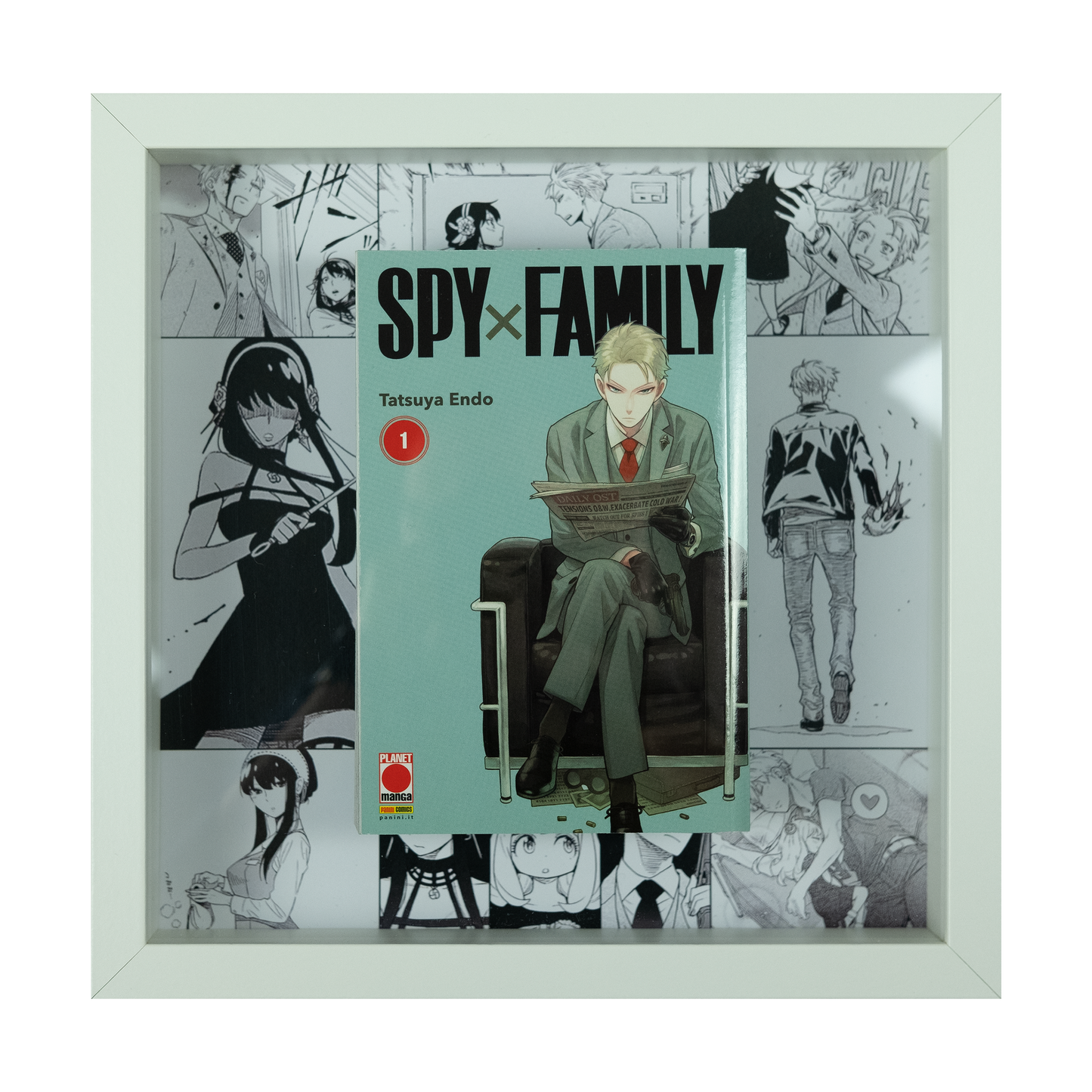 Spy x Family Vol.1 | Floating Frame | 25x25