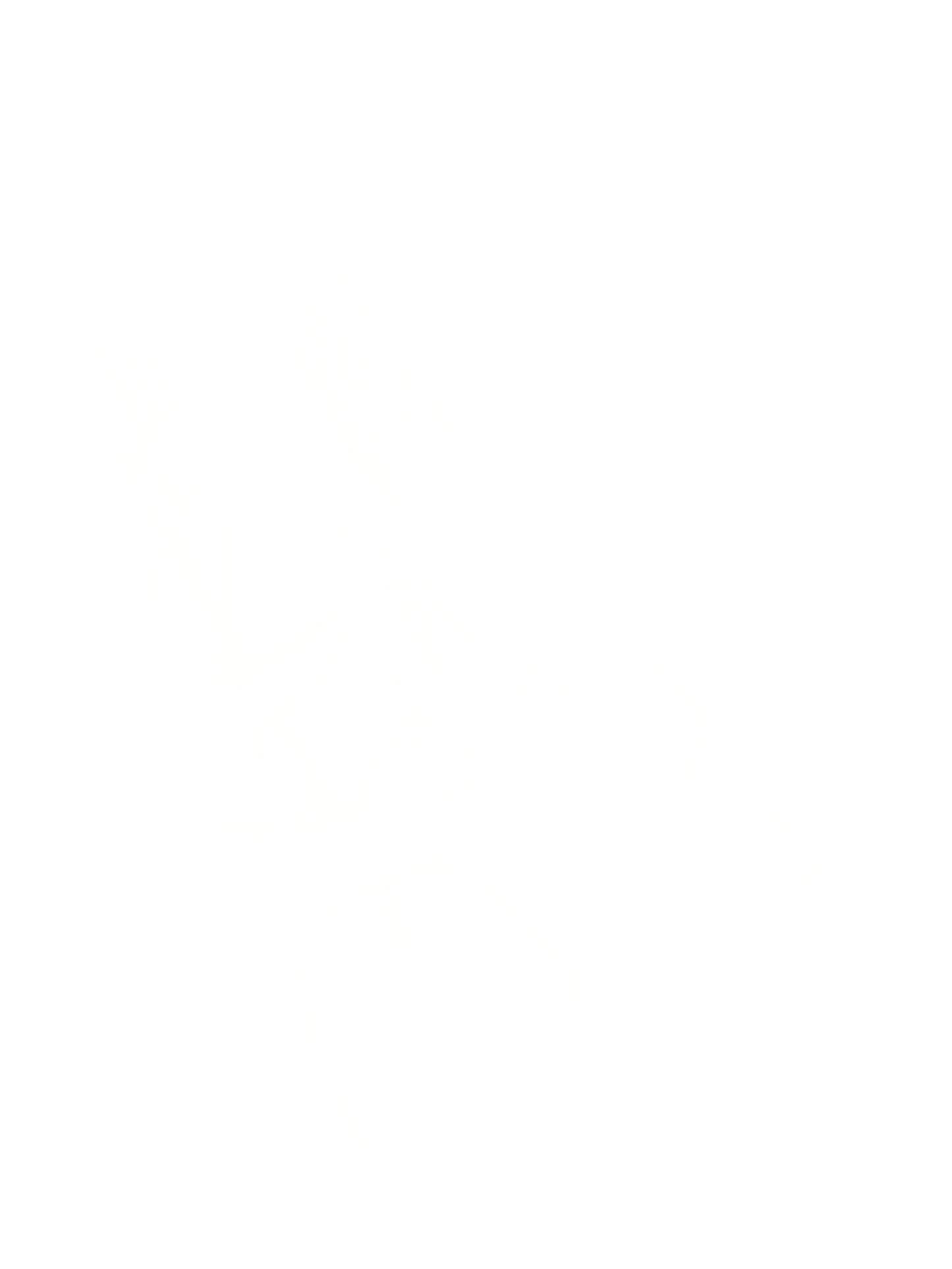 ECLISSI | GEAR 5 | T-Shirt Special Edition | Unisex